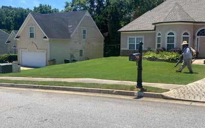 Photo of Galisa B.'s yard after getting lawn care in Clinton Township, MI