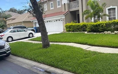 Photo of Alejandra E.'s yard after getting lawn care in Tampa, FL