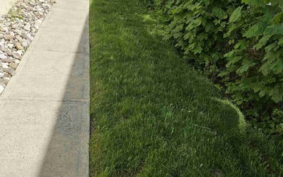 Photo of Scott S.'s yard after getting lawn care in Ridgefield, CT