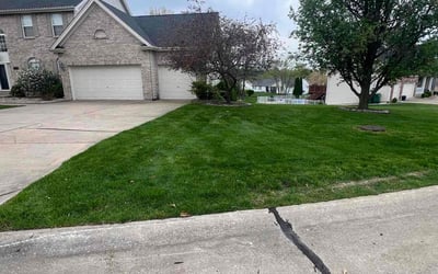 Photo of Cheryl M.'s yard after getting lawn care in Troy, MO