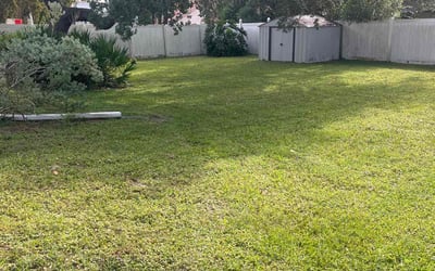 Photo of Monika E.'s yard after getting lawn care in Coventry, CT