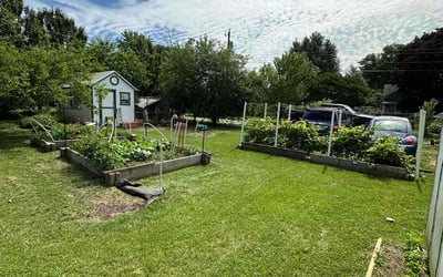 Photo of Kevin J.'s yard after getting lawn care in Aylett, VA