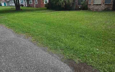 Photo of Cathy B.'s yard after getting lawn care in Affton, MO
