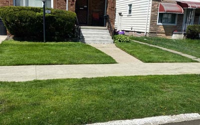 Photo of Terri R.'s yard after getting lawn care in Benton Harbor, MI