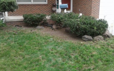 Photo of Zeinab N.'s yard after getting lawn care in Dearborn, MI