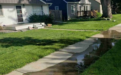 Photo of Cathleen P.'s yard after getting lawn care in Fridley, MN