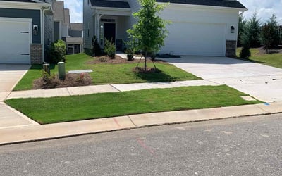 Photo of Mary C.'s yard after getting lawn care in Oconomowoc, WI