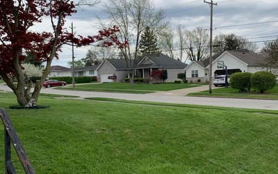 Photo of Derrick B.'s yard after getting lawn care in Girard, OH