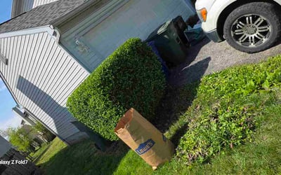 Photo of Mary R.'s yard after getting lawn care in Hartford, WI