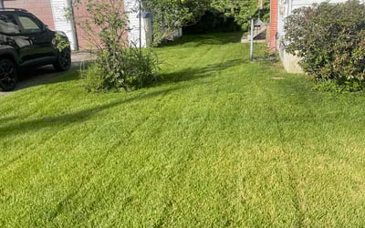 Photo of Susan B.'s yard after getting lawn care in Hudson, NH