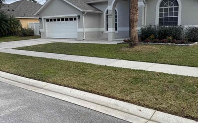 Photo of Roseanne J.'s yard after getting lawn care in Clermont, FL