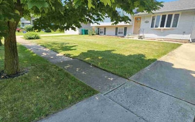 Photo of Felipe A.'s yard after getting lawn care in Joliet, IL