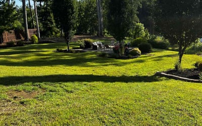 Photo of Kemberly C.'s yard after getting lawn care in Westfield, IN