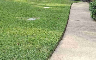 Photo of Ronald J.'s yard after getting lawn care in Avondale, AZ