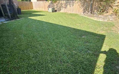 Photo of Sarah S.'s yard after getting lawn care in New Braunfels, TX