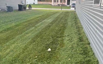 Photo of Barbara F.'s yard after getting lawn care in Seaford, DE