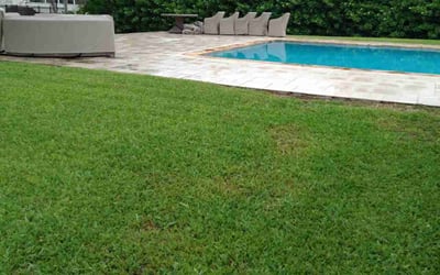 Photo of Joan Z.'s yard after getting lawn care in Opa Locka, FL