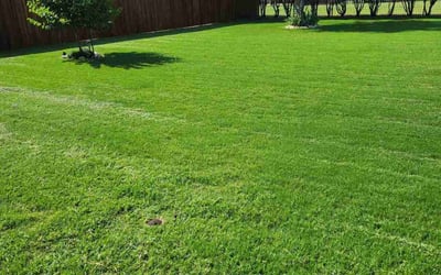 Photo of Dawn R.'s yard after getting lawn care in Hanover, PA