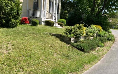 Photo of Debbie H.'s yard after getting lawn care in Amherst, MA