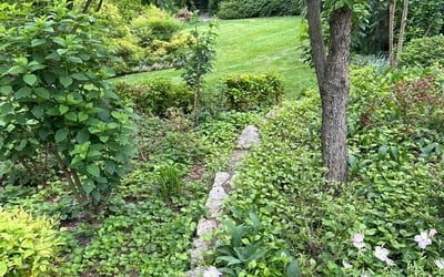Photo of Lynn T.'s yard after getting lawn care in Arnold, MD