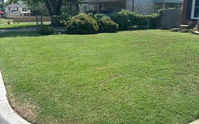 Photo of Sarah W.'s yard after getting lawn care in Hot Springs, AR