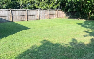 Photo of Kiesha R.'s yard after getting lawn care in Cliffside Park, NJ