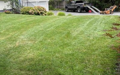 Photo of Tacarol B.'s yard after getting tree care in Stamford, CT