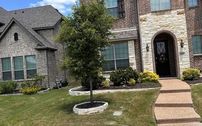 Photo of Madison S.'s yard after getting lawn care in Garland, TX