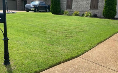Photo of Barry D.'s yard after getting tree care in Wake Forest, NC