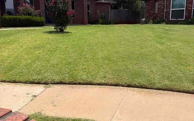Photo of Roisin M.'s yard after getting lawn care in Shelton, CT