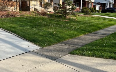 Photo of Gregory B.'s yard after getting lawn care in Norwood, OH