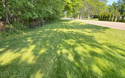 Photo of Richard V.'s yard after getting lawn care in Orion, MI