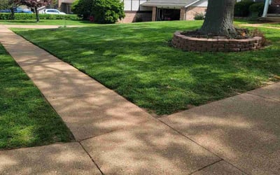 Photo of Danny P.'s yard after getting lawn care in Ballwin, MO