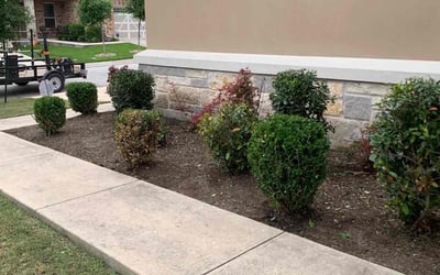 Photo of Rosemary O.'s yard after getting tree care in Plainfield, IL