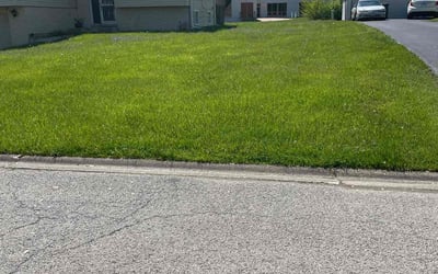 Photo of Margaret A.'s yard after getting lawn care in Country Club Hills, IL