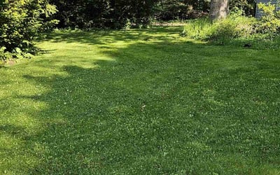 Photo of Austin C.'s yard after getting lawn care in Brown Deer, WI