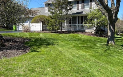 Photo of Linda M.'s yard after getting lawn care in East Syracuse, NY
