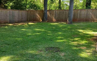 Photo of Melissa H.'s yard after getting lawn care in Atlanta, GA