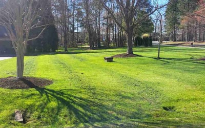 Photo of Evelyn C.'s yard after getting lawn care in Granite Falls, NC