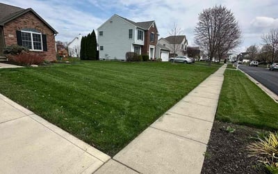 Photo of Lacey R.'s yard after getting lawn care in Newark, OH