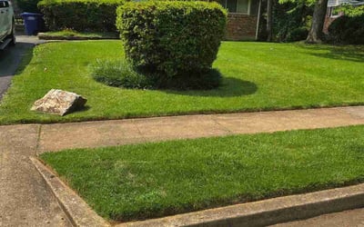 Photo of Cody W.'s yard after getting lawn care in Tuscaloosa, AL