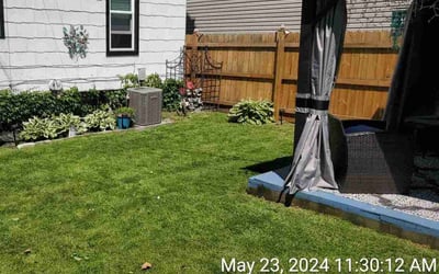 Photo of Narmina K.'s yard after getting lawn care in Buffalo, NY