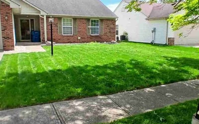 Photo of Isabel B.'s yard after getting lawn care in Corona, CA