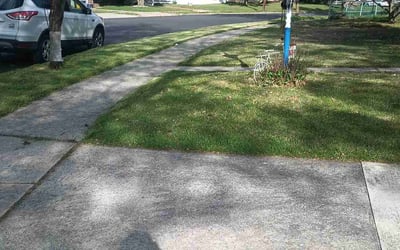 Photo of Robby -.'s yard after getting lawn care in Berlin, NJ