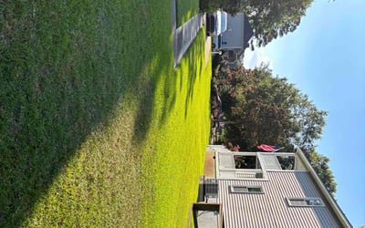 Photo of Dawn W.'s yard after getting lawn care in Leesville, SC