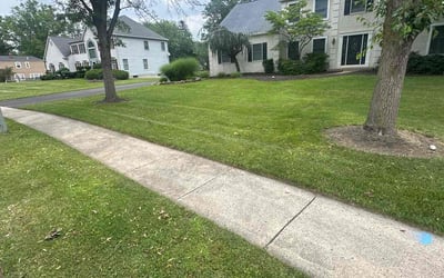 Photo of Michael O.'s yard after getting lawn care in Ozark, MO