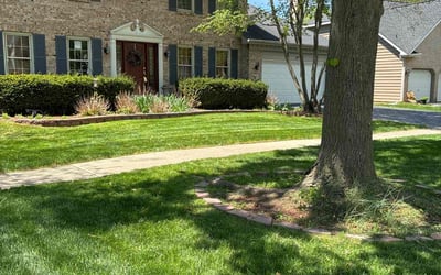Photo of Brandon W.'s yard after getting lawn care in Woodridge, IL