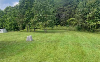 Photo of Raikesson C.'s yard after getting lawn care in Randleman, NC
