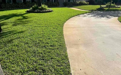 Photo of Kimberly G.'s yard after getting lawn care in New Smyrna Beach, FL