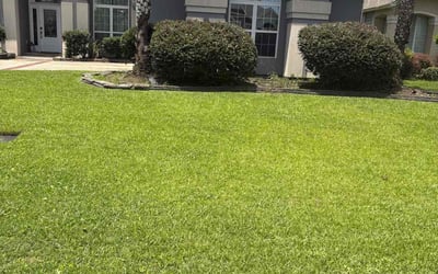 Photo of Angie L.'s yard after getting lawn care in Sterling Heights, MI